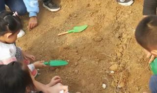 石家庄外国语幼儿园