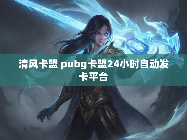 清风卡盟 pubg卡盟24小时自动发卡平台