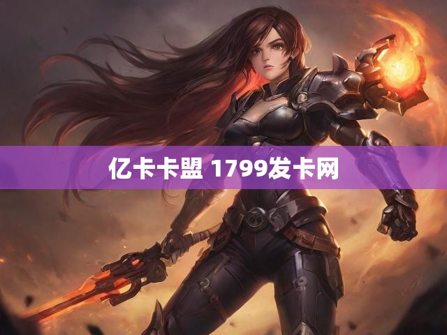 亿卡卡盟 1799发卡网