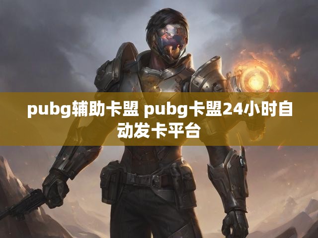 pubg辅助卡盟 pubg卡盟24小时自动发卡平台
