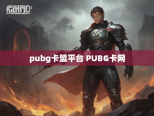 pubg卡盟平台 PUBG卡网