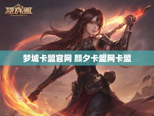 梦城卡盟官网 颜夕卡盟网卡盟