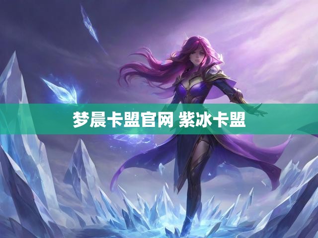 梦晨卡盟官网 紫冰卡盟