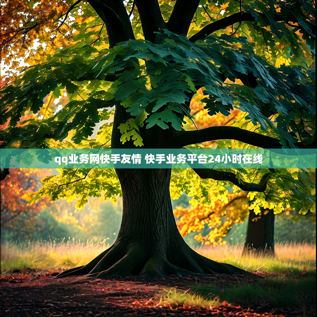 qq业务网快手友情 快手业务平台24小时在线