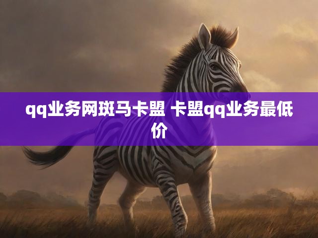 qq业务网斑马卡盟 卡盟qq业务最低价