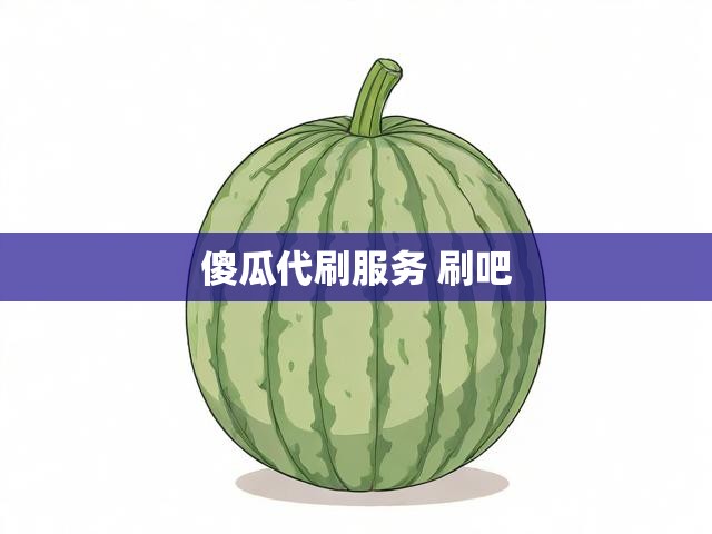 傻瓜代刷服务 刷吧