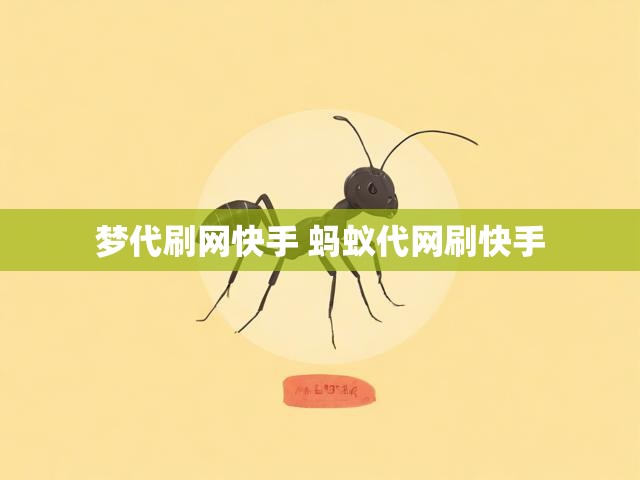 梦代刷网快手 蚂蚁代网刷快手