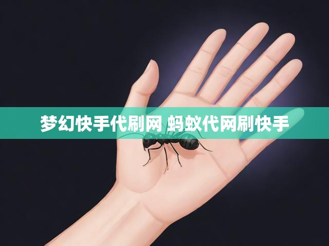 梦幻快手代刷网 蚂蚁代网刷快手