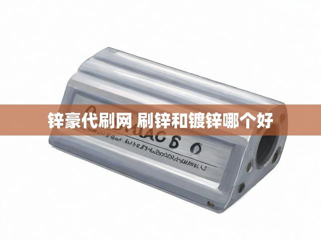 锌豪代刷网 刷锌和镀锌哪个好