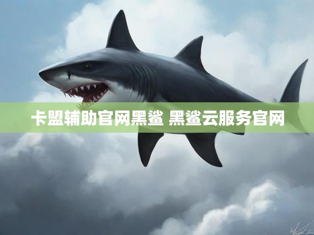 卡盟辅助官网黑鲨 黑鲨云服务官网