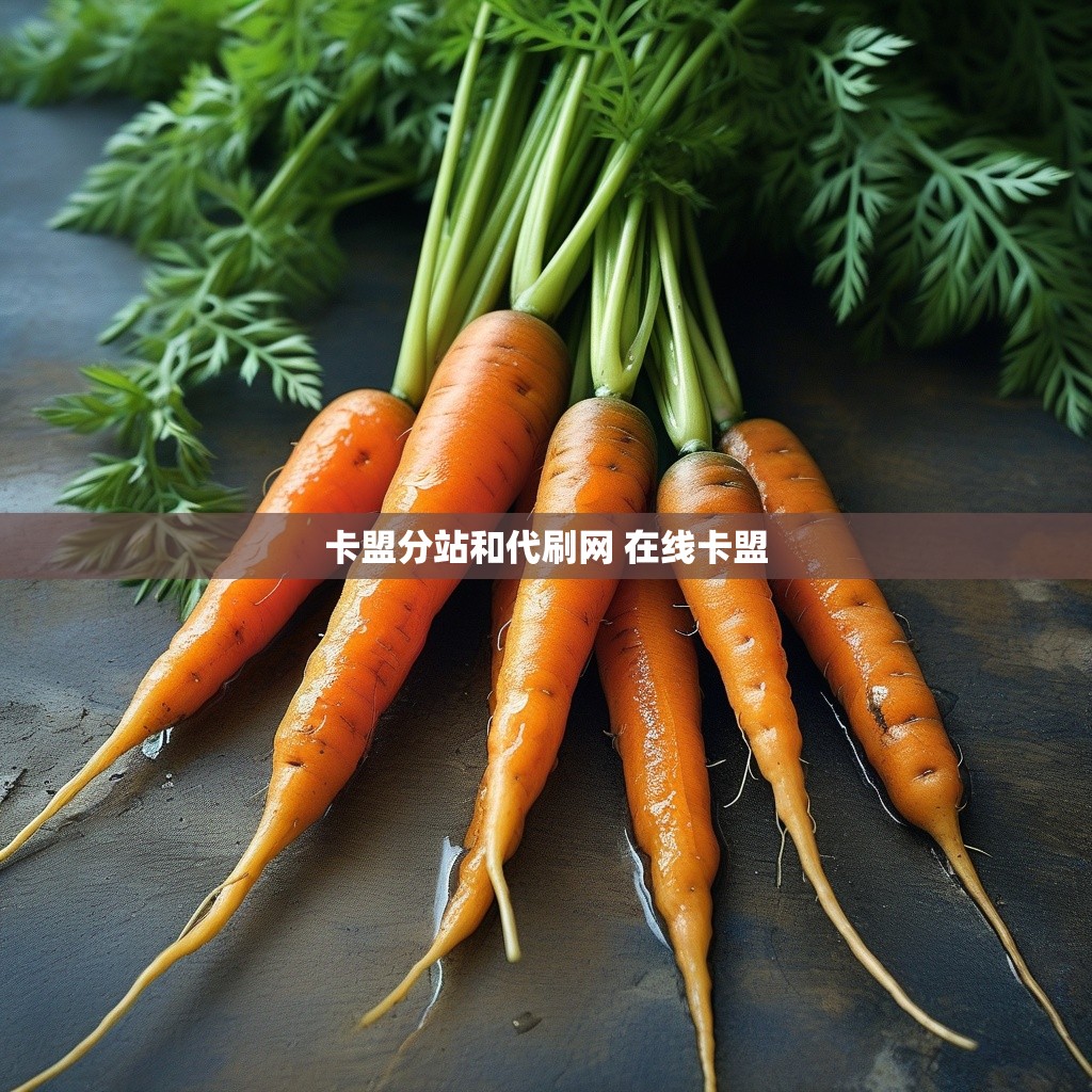 卡盟分站和代刷网 在线卡盟