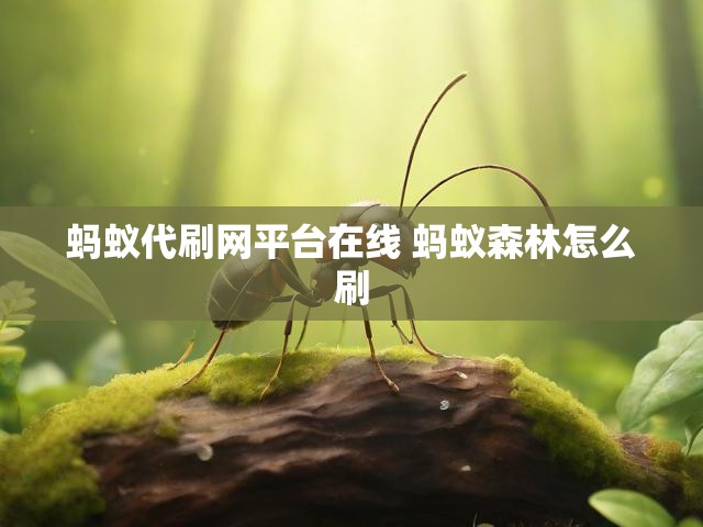 蚂蚁代刷网平台在线 蚂蚁森林怎么刷