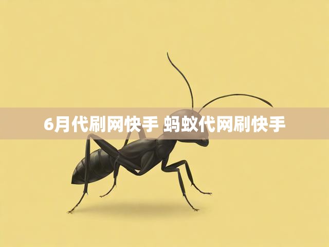 6月代刷网快手 蚂蚁代网刷快手