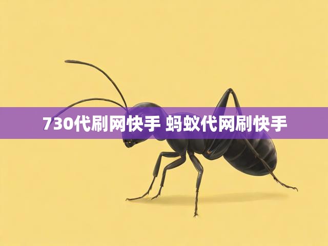 730代刷网快手 蚂蚁代网刷快手