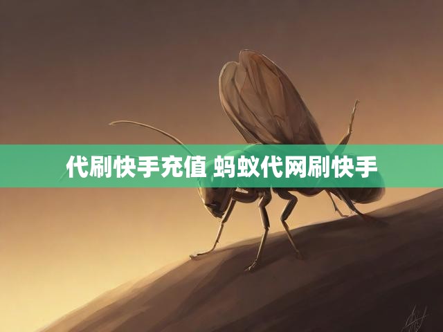 代刷快手充值 蚂蚁代网刷快手