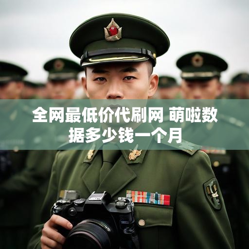 全网最低价代刷网 萌啦数据多少钱一个月