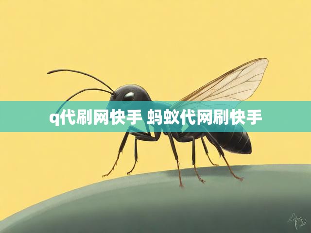 q代刷网快手 蚂蚁代网刷快手