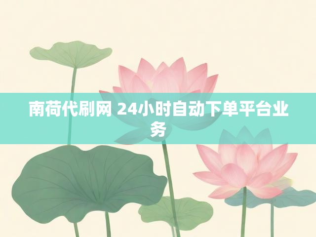 南荷代刷网 24小时自动下单平台业务