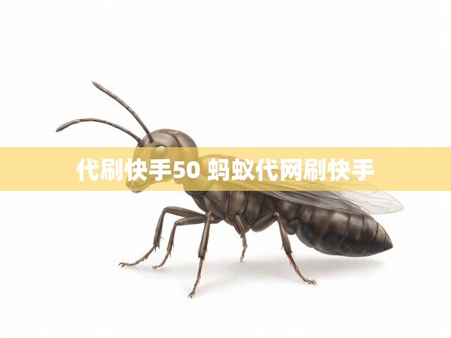 代刷快手50 蚂蚁代网刷快手
