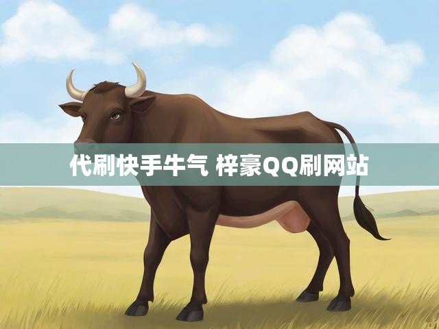 代刷快手牛气 梓豪QQ刷网站