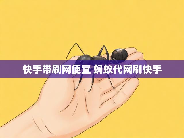 快手带刷网便宜 蚂蚁代网刷快手