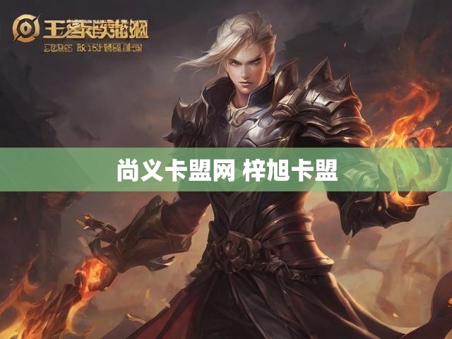 尚义卡盟网 梓旭卡盟
