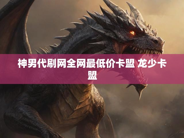 神男代刷网全网最低价卡盟 龙少卡盟