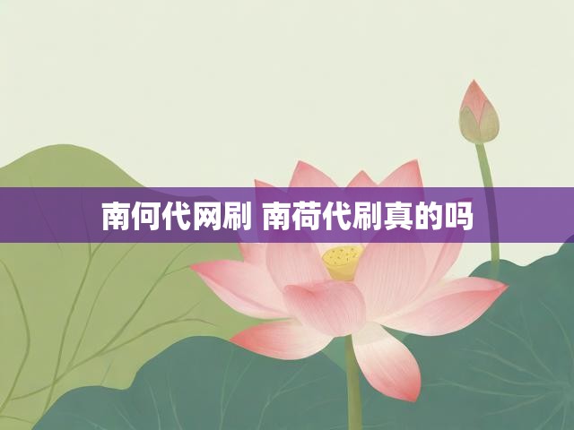 南何代网刷 南荷代刷真的吗