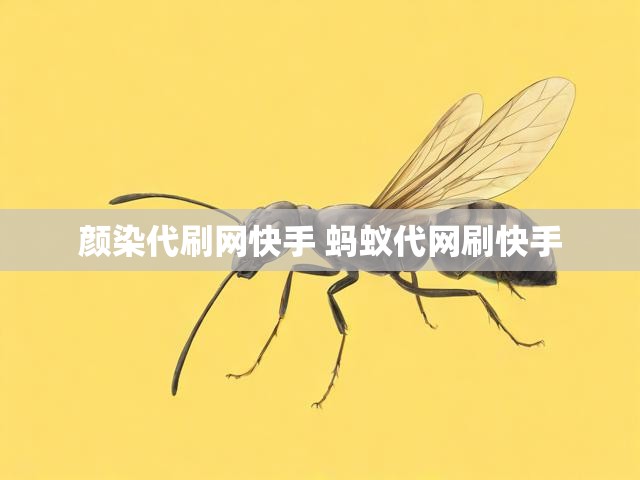 颜染代刷网快手 蚂蚁代网刷快手