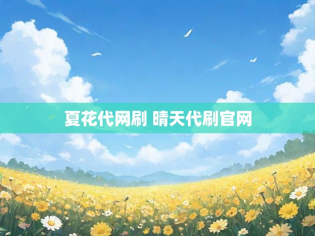 夏花代网刷 晴天代刷官网