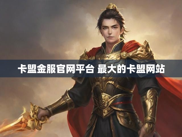 卡盟金服官网平台 最大的卡盟网站