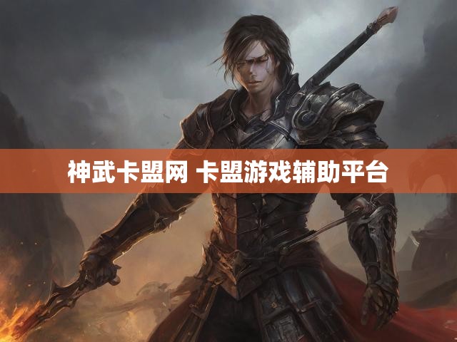 神武卡盟网 卡盟游戏辅助平台