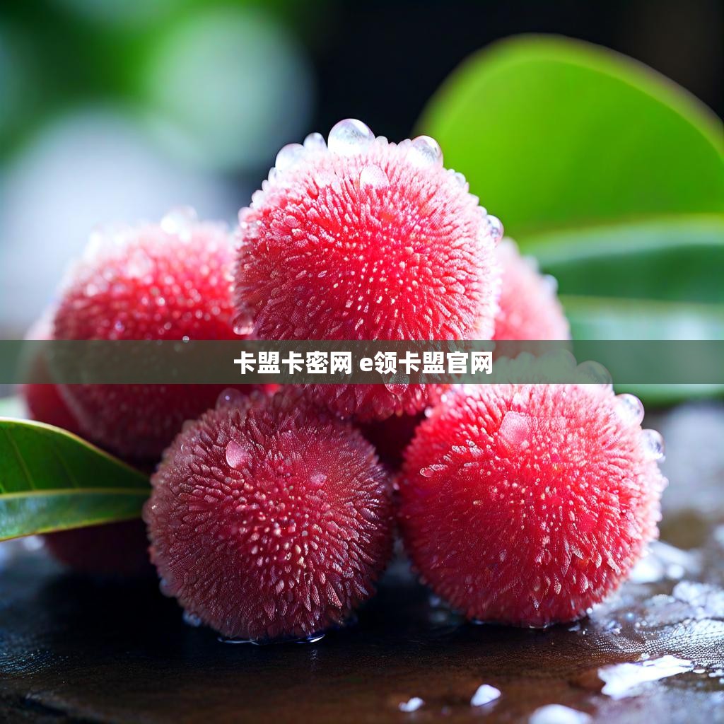 卡盟卡密网 e领卡盟官网