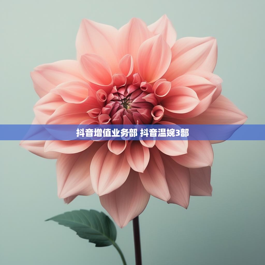 抖音增值业务部 抖音温婉3部