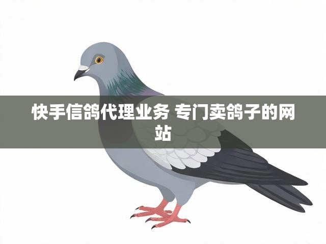 快手信鸽代理业务 专门卖鸽子的网站