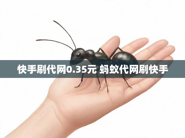 快手刷代网0.35元 蚂蚁代网刷快手