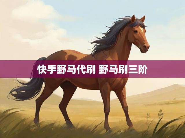 快手野马代刷 野马刷三阶