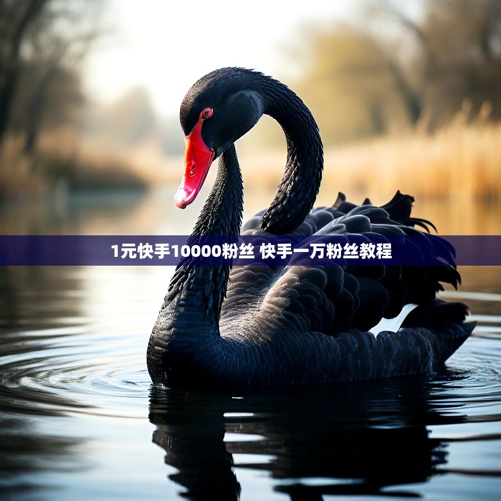 1元快手10000粉丝 快手一万粉丝教程