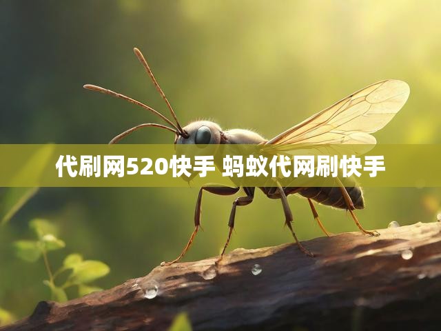 代刷网520快手 蚂蚁代网刷快手