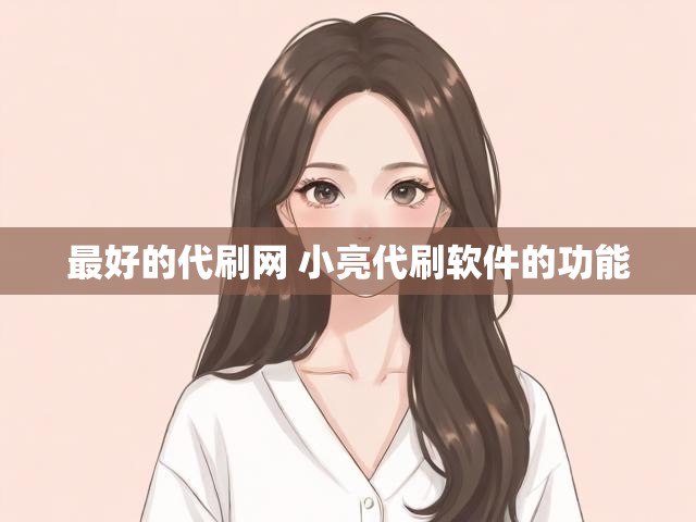 最好的代刷网 小亮代刷软件的功能