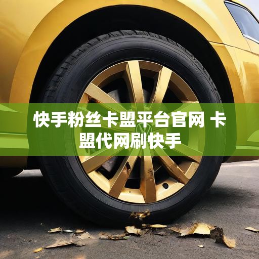 快手粉丝卡盟平台官网 卡盟代网刷快手