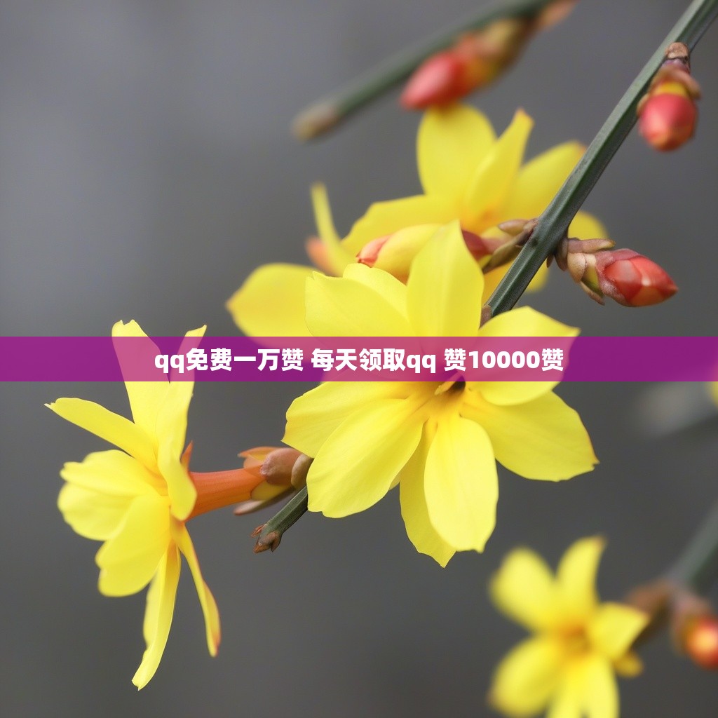 qq免费一万赞 每天领取qq 赞10000赞