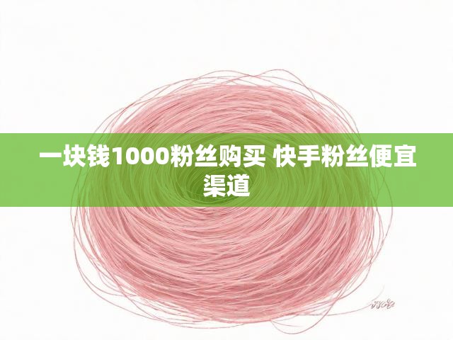 一块钱1000粉丝购买 快手粉丝便宜渠道