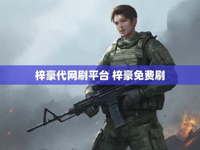 梓豪代网刷平台 梓豪免费刷