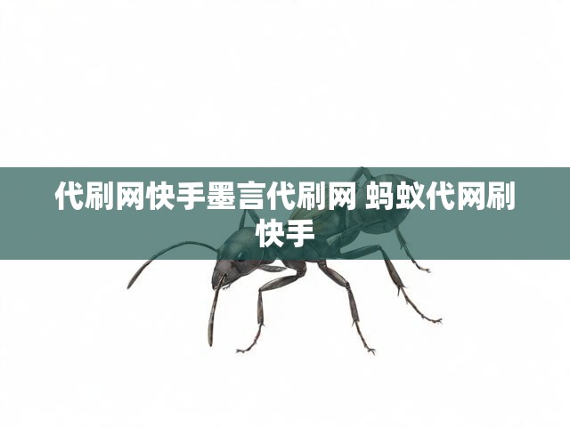 代刷网快手墨言代刷网 蚂蚁代网刷快手