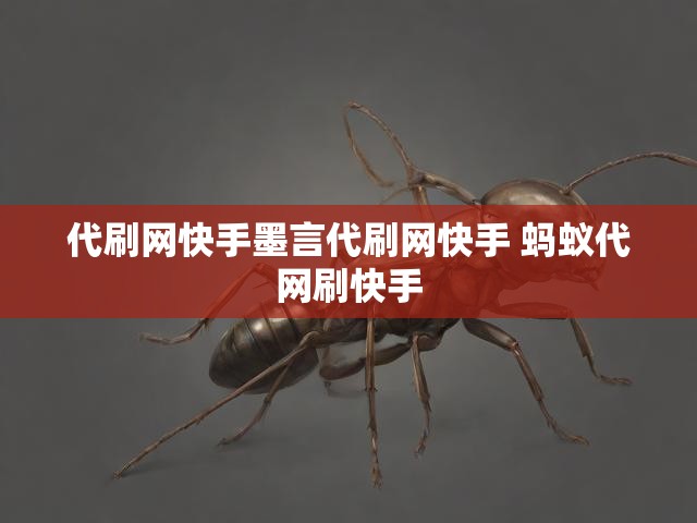 代刷网快手墨言代刷网快手 蚂蚁代网刷快手