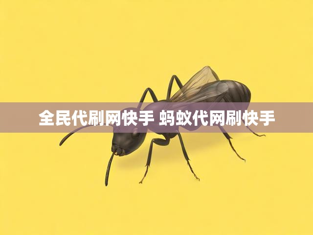 全民代刷网快手 蚂蚁代网刷快手