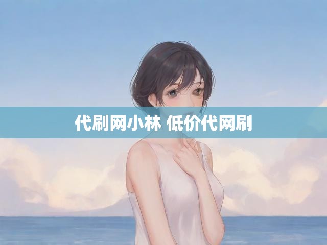 代刷网小林 低价代网刷
