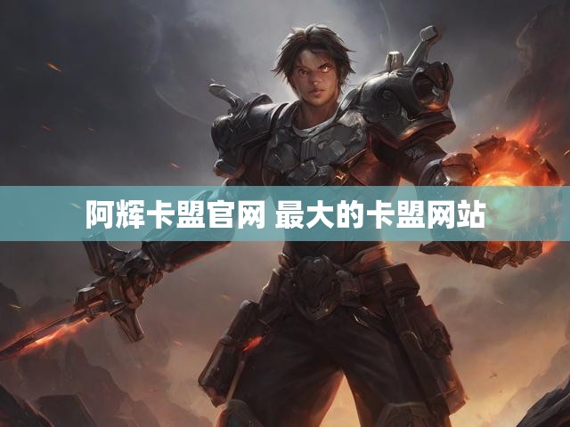 阿辉卡盟官网 最大的卡盟网站
