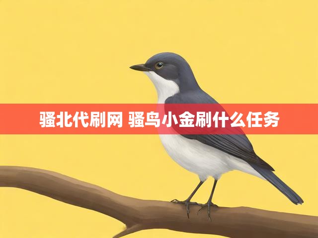 骚北代刷网 骚鸟小金刷什么任务